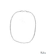 kiwi Kolorowanki Do Druku